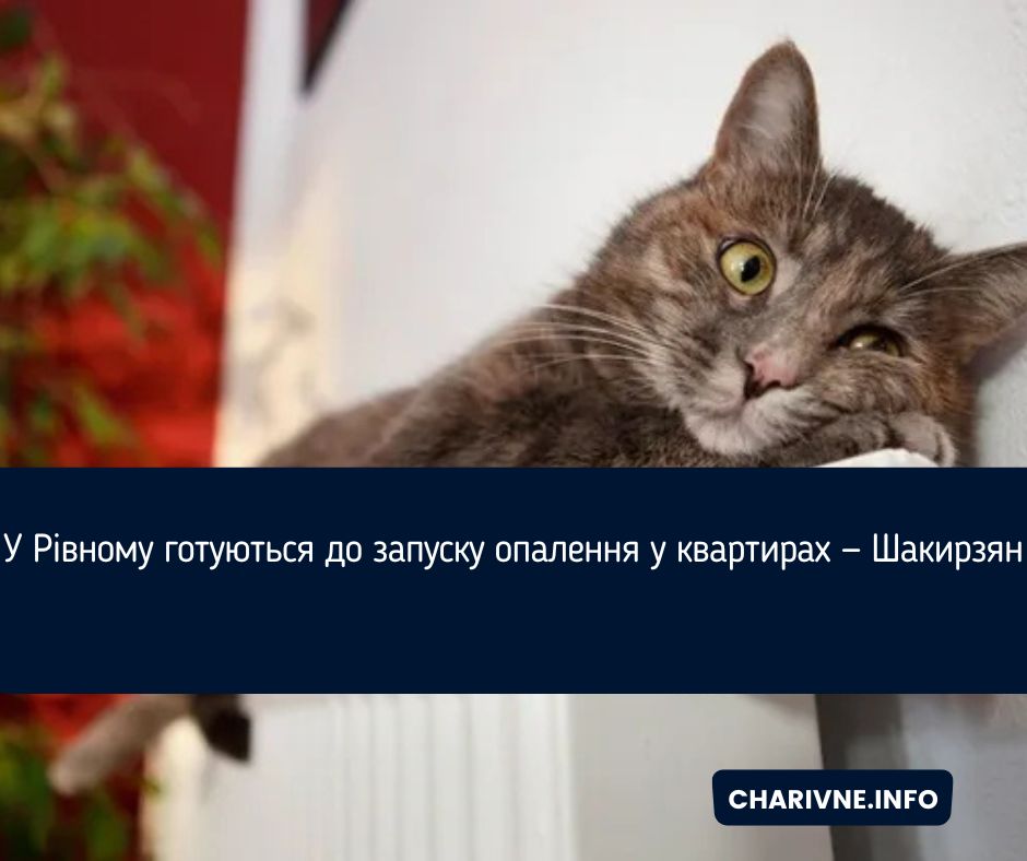 Фото ілюстративне